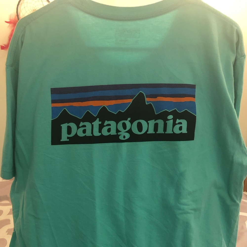 Patagonia t-shirt